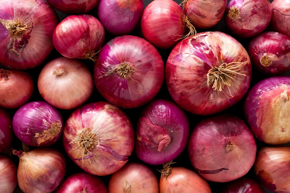 Onion
