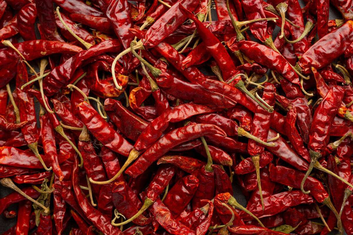 Red Chilli